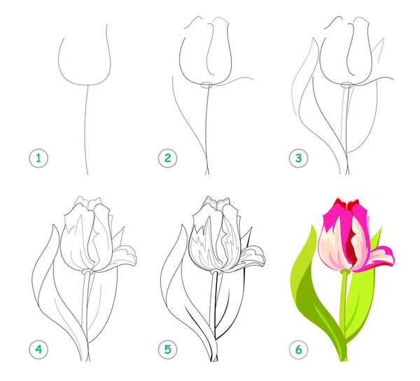 Detail Cara Menggambar Bunga Sepatu Langkah Demi Langkah Nomer 38