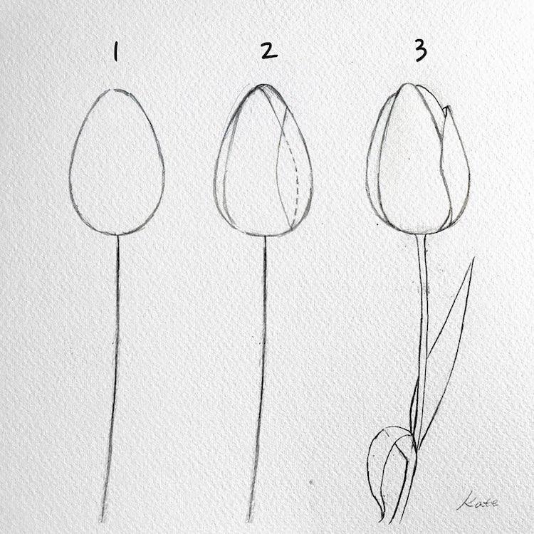 Detail Cara Menggambar Bunga Simple Nomer 16
