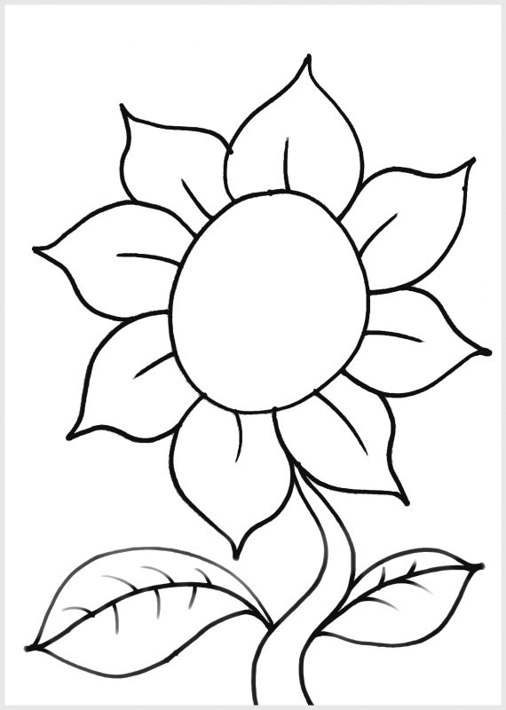 Detail Cara Menggambar Bunga Simple Nomer 22