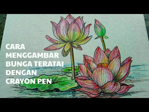 Detail Cara Menggambar Bunga Teratai Dengan Pensil Nomer 18