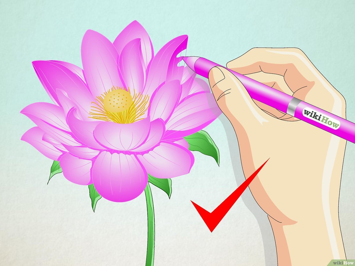 Detail Cara Menggambar Bunga Teratai Dengan Pensil Nomer 5