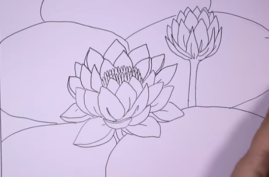 Detail Cara Menggambar Bunga Teratai Dengan Pensil Nomer 41