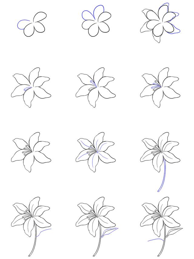 Detail Cara Menggambar Bunga Teratai Yang Mudah Nomer 52