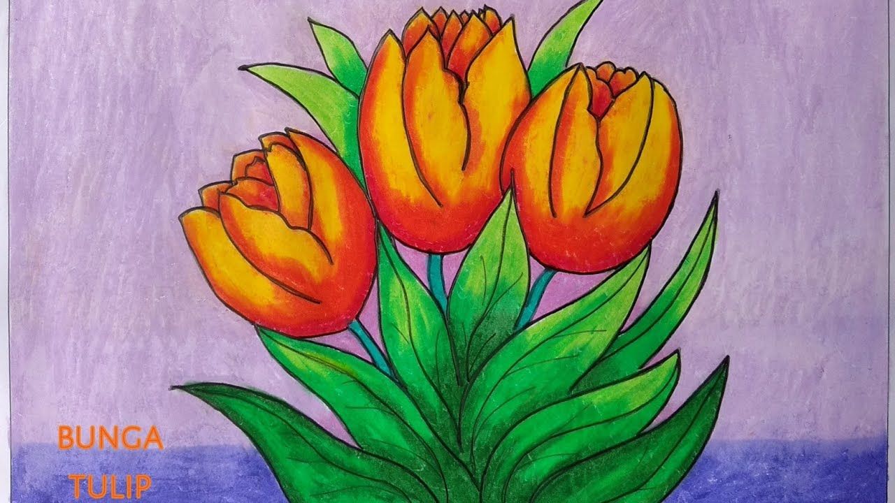 Detail Cara Menggambar Bunga Tulip Dengan Nomer 14