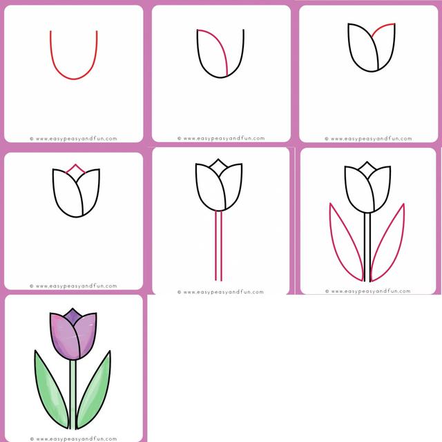 Detail Cara Menggambar Bunga Tulip Dengan Nomer 4