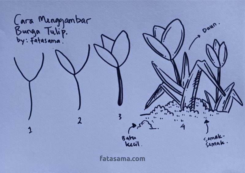 Detail Cara Menggambar Bunga Tulip Dengan Nomer 44