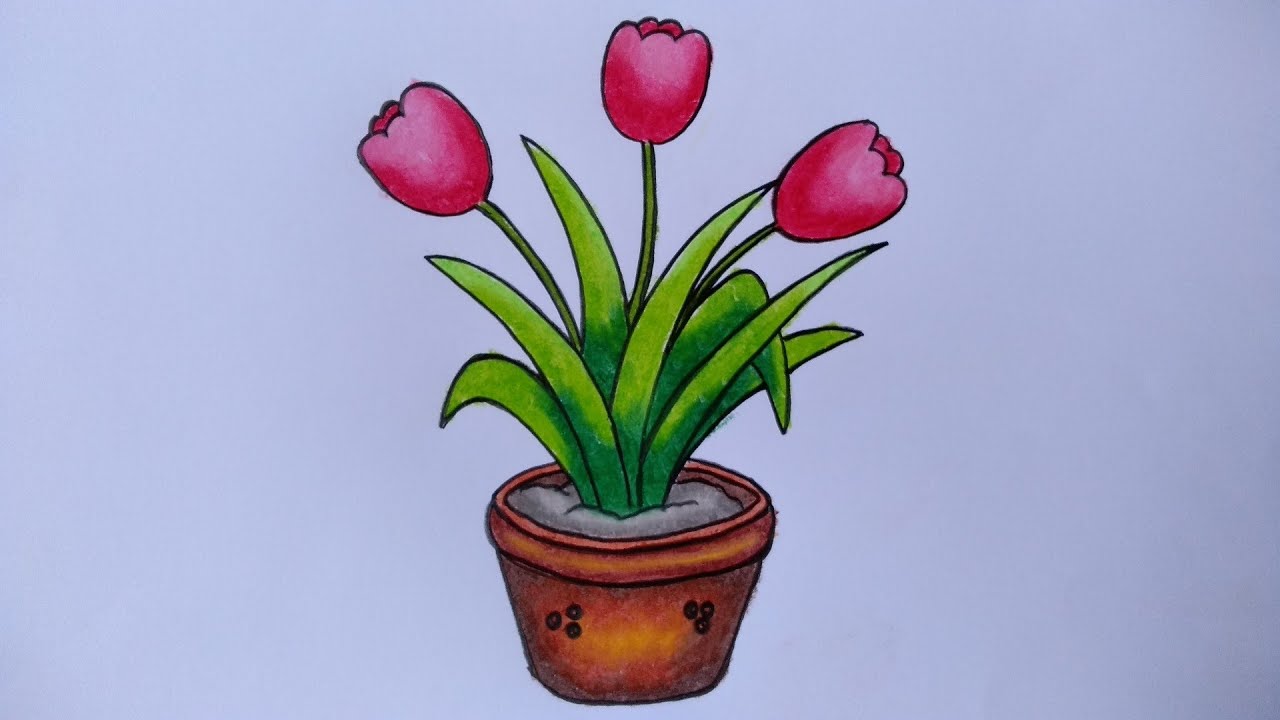 Detail Cara Menggambar Bunga Tulip Dengan Nomer 8