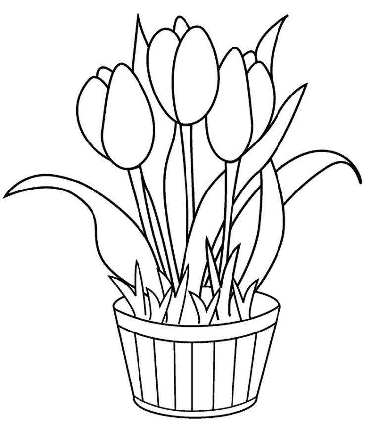 Detail Cara Menggambar Bunga Tulip Dengan Pensil Nomer 34