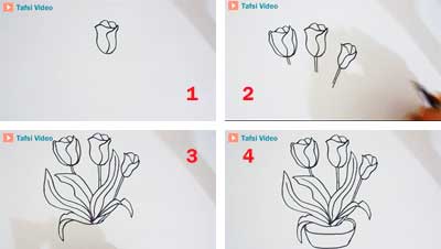 Detail Cara Menggambar Bunga Tulip Menggunakan Pensil Nomer 7