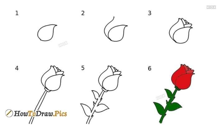 Detail Cara Menggambar Bunga Yang Bagus Dan Cantik Nomer 9