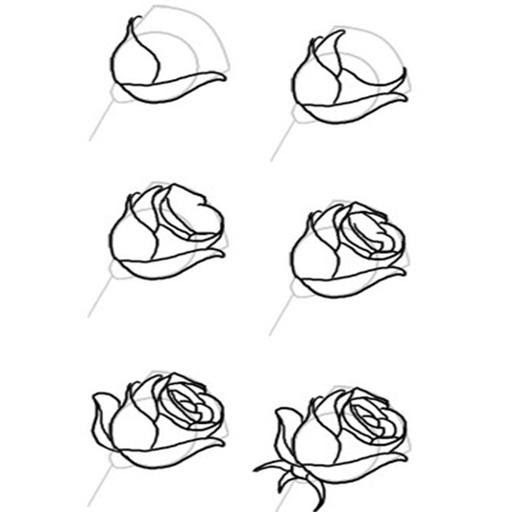 Detail Cara Menggambar Bunga Yang Cantik Nomer 20