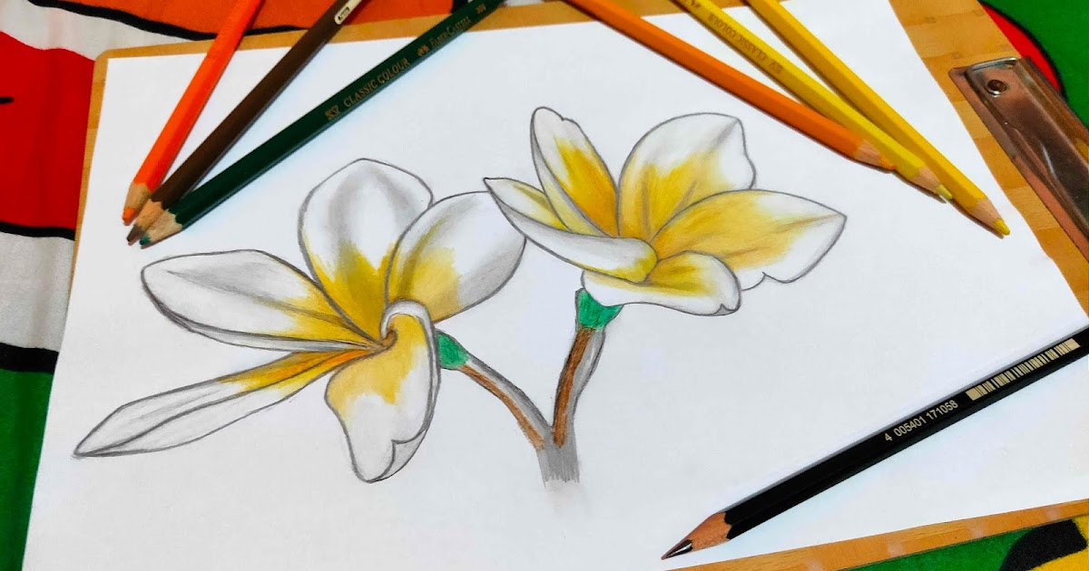 Detail Cara Menggambar Bunga Yang Cantik Dan Indah Nomer 18