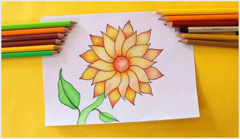 Detail Cara Menggambar Bunga Yang Cantik Dan Mudah Nomer 9