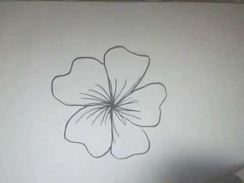 Detail Cara Menggambar Bunga Yang Mudah Dan Indah Nomer 48