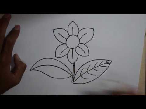 Detail Cara Menggambar Bunga Yang Mudah Sekali Nomer 20