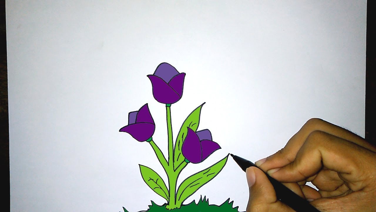 Detail Cara Menggambar Bunga Yang Paling Gampang Nomer 4