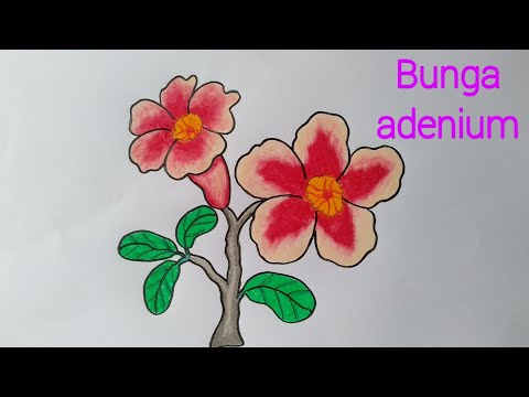 Detail Cara Menggambar Bunga Yg Mudah Dan Bagus Nomer 37