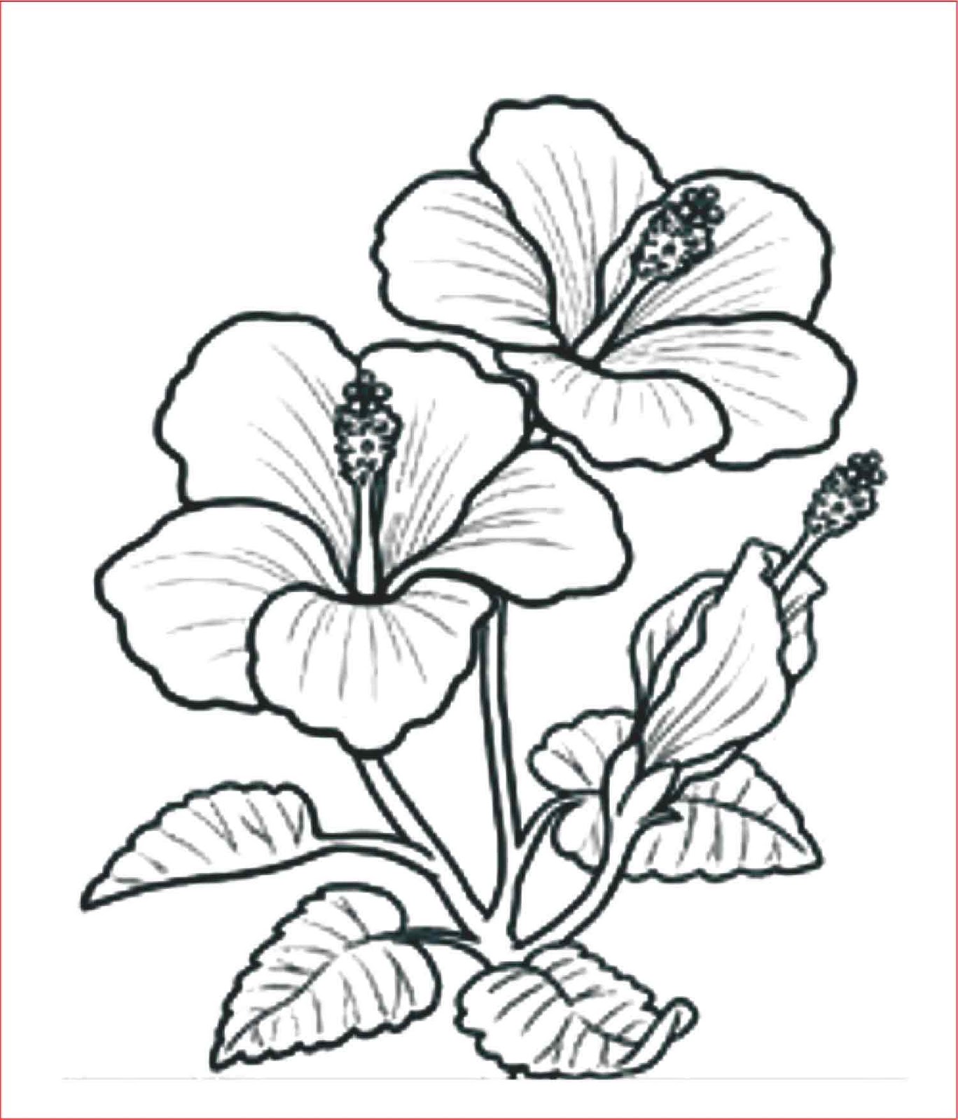 Detail Cara Menggambar Bunga Yg Mudah Dan Bagus Nomer 39