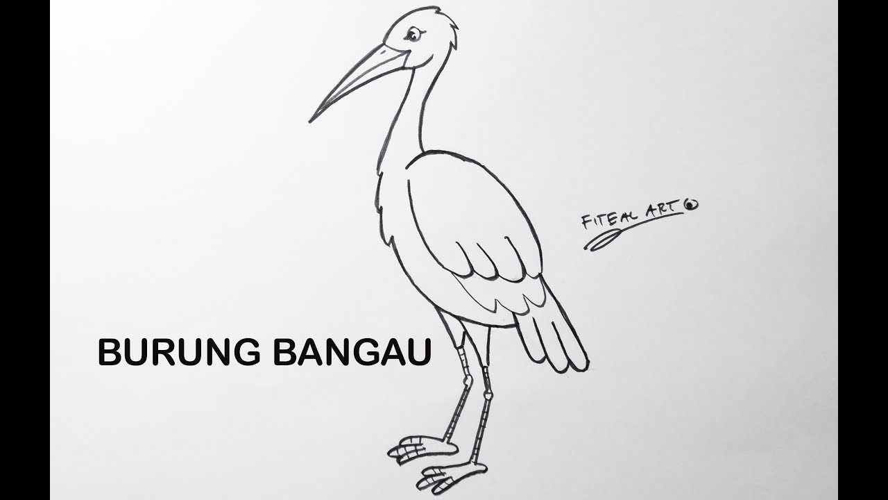 Cara Menggambar Burung Bangau - KibrisPDR