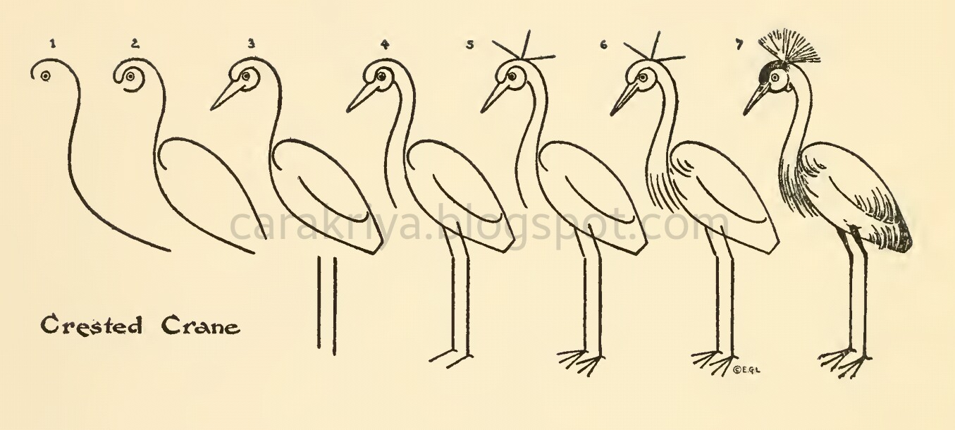 Detail Cara Menggambar Burung Bangau Nomer 20