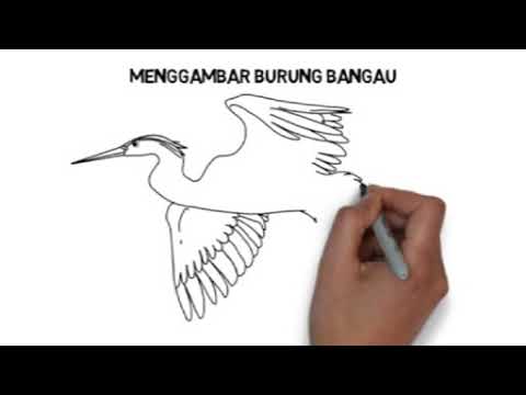 Detail Cara Menggambar Burung Bangau Nomer 7