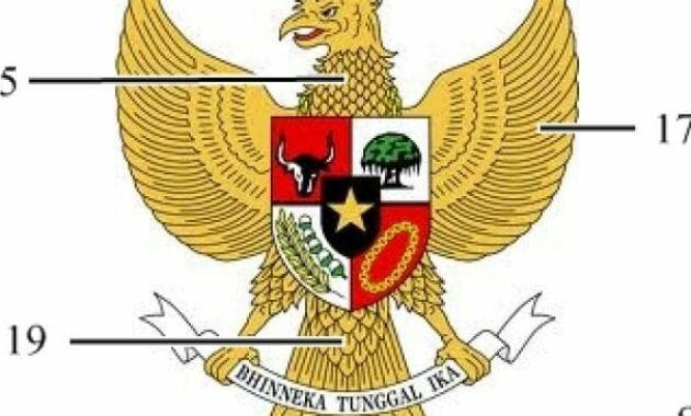 Detail Cara Menggambar Burung Rajawali Nomer 21