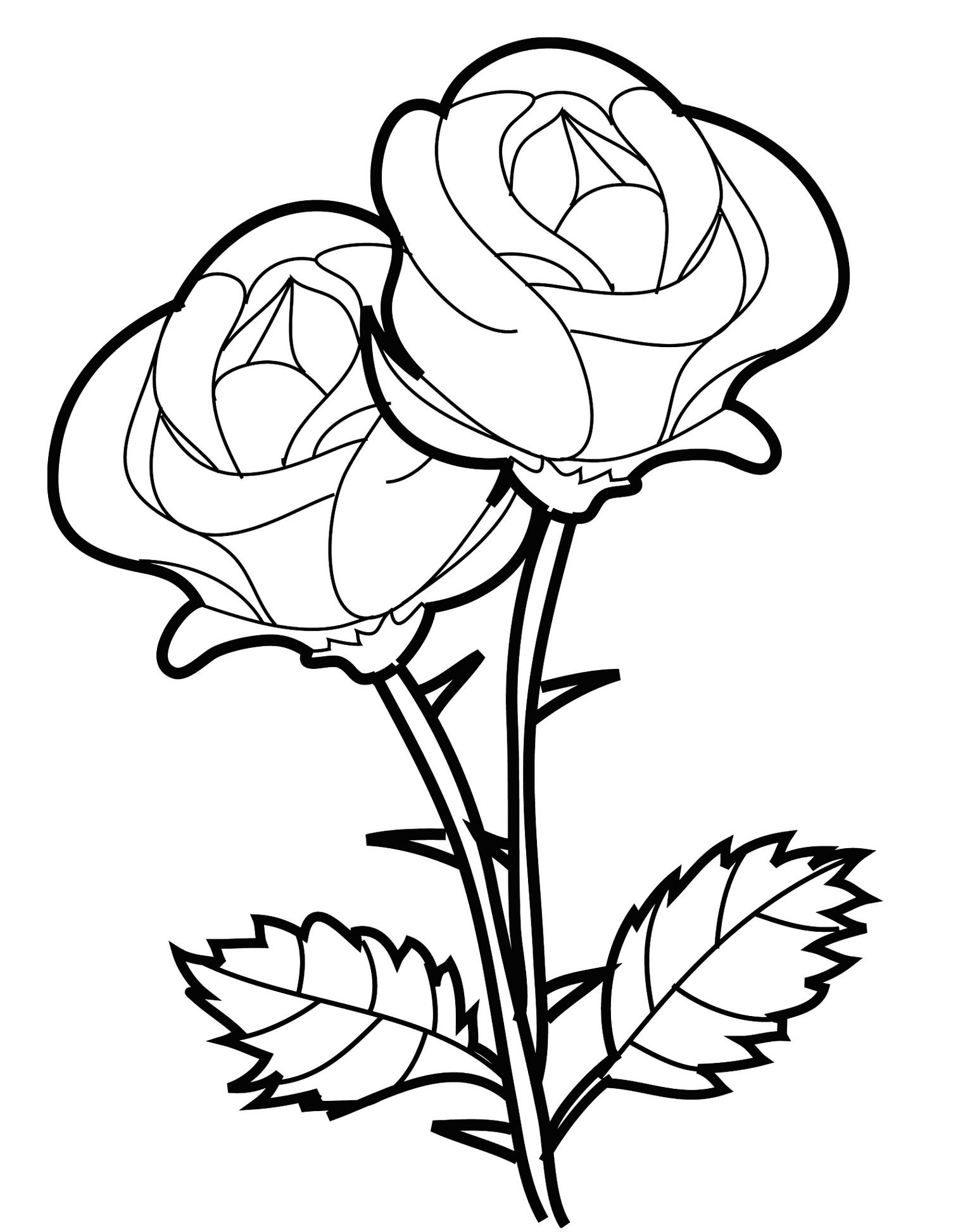 Detail Cara Menggambar Daun Bunga Mawar Nomer 23