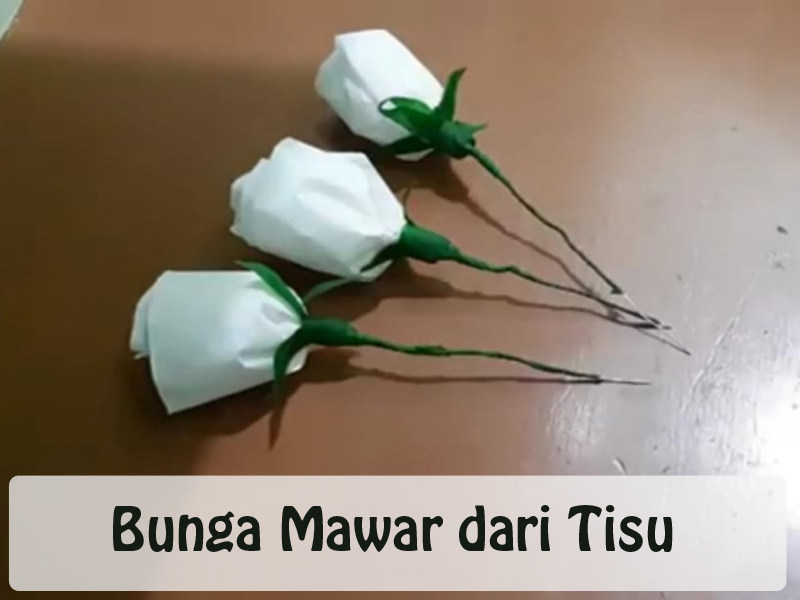 Detail Cara Menggambar Daun Bunga Mawar Nomer 50