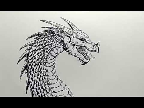 Detail Cara Menggambar Dragon Nomer 4