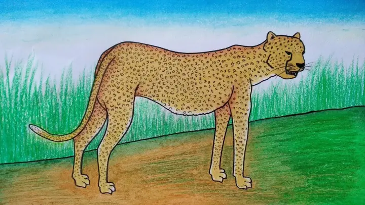 Detail Cara Menggambar Harimau Nomer 32
