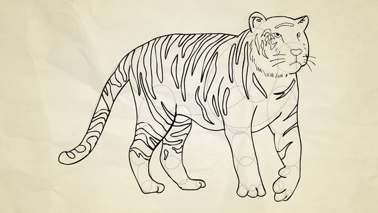 Detail Cara Menggambar Harimau Nomer 5
