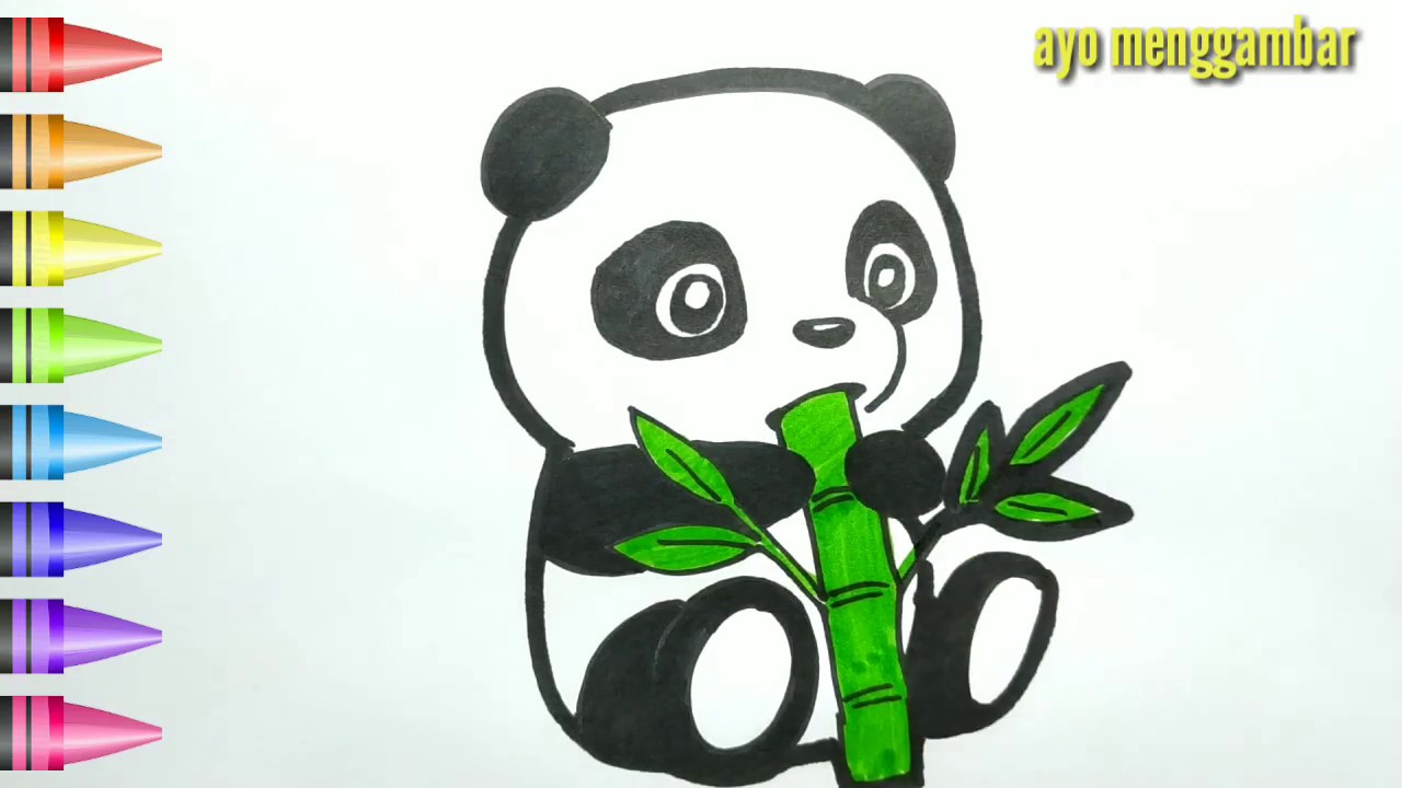 Cara Menggambar Hewan Panda - KibrisPDR