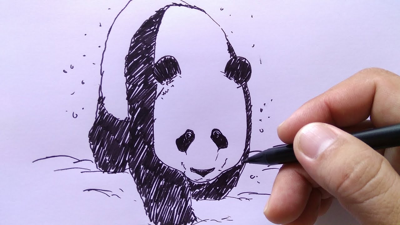 Detail Cara Menggambar Hewan Panda Nomer 28