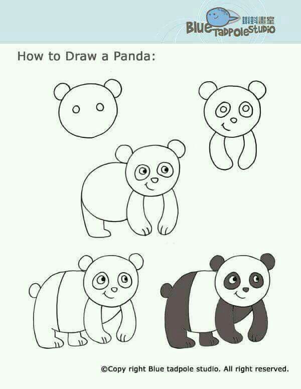 Detail Cara Menggambar Hewan Panda Nomer 10