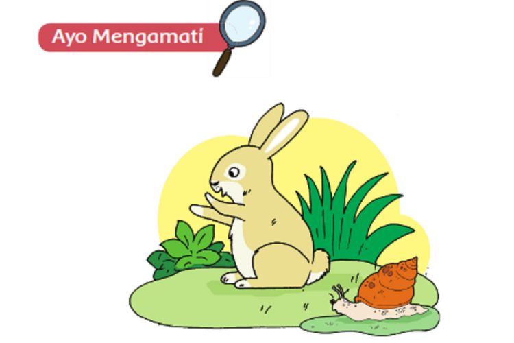 Detail Cara Menggambar Hewan Vertebrata Nomer 24