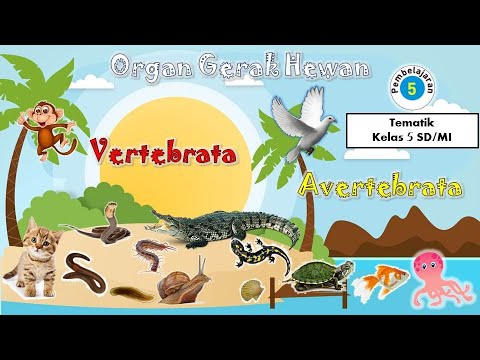 Detail Cara Menggambar Hewan Vertebrata Nomer 25