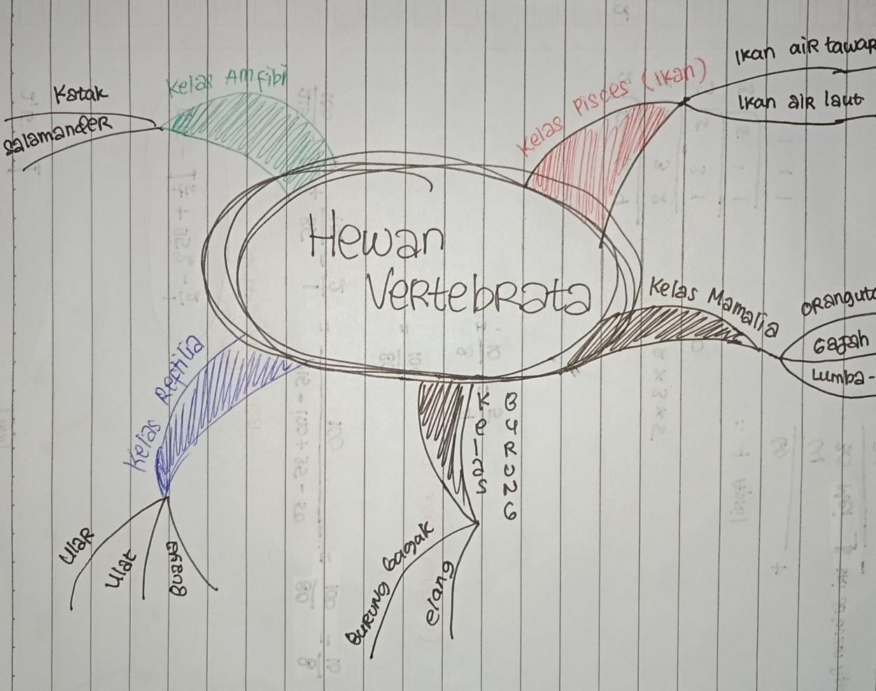 Detail Cara Menggambar Hewan Vertebrata Nomer 36