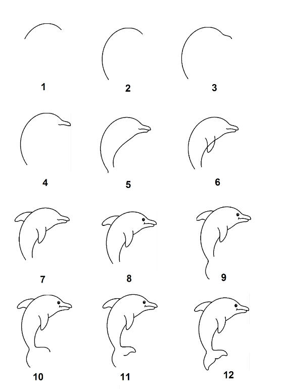 Detail Cara Menggambar Hewan Vertebrata Nomer 6