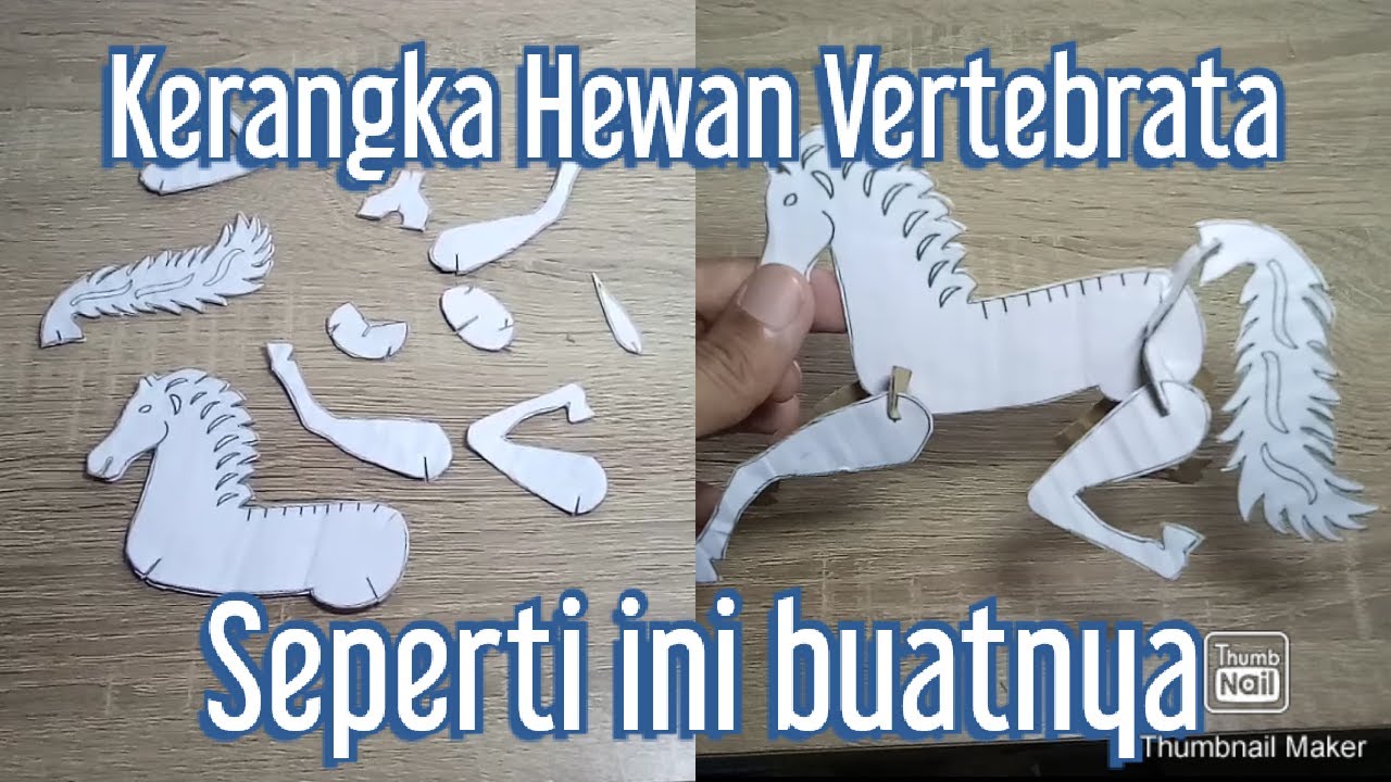 Detail Cara Menggambar Hewan Vertebrata Nomer 7