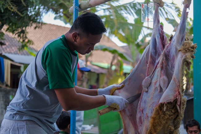 Detail Cara Menggambar Idul Adha Nomer 51