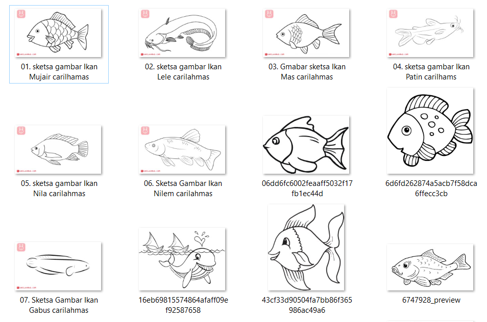 Detail Cara Menggambar Ikan Hias Nomer 30