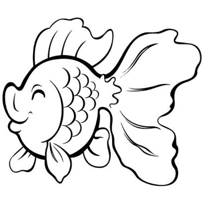 Detail Cara Menggambar Ikan Koki Nomer 14