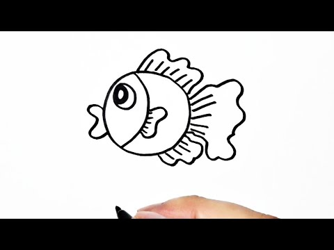 Detail Cara Menggambar Ikan Koki Nomer 3