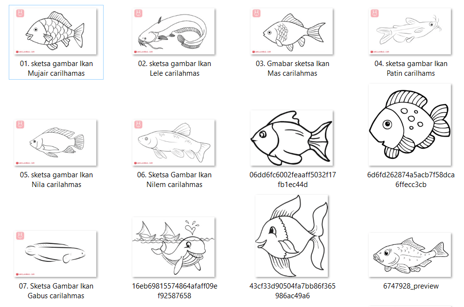 Detail Cara Menggambar Ikan Nila Nomer 3