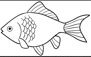 Detail Cara Menggambar Ikan Yang Bagus Nomer 29