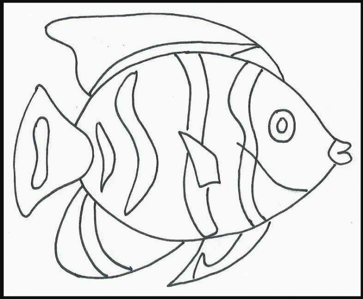 Detail Cara Menggambar Ikan Yang Bagus Nomer 43