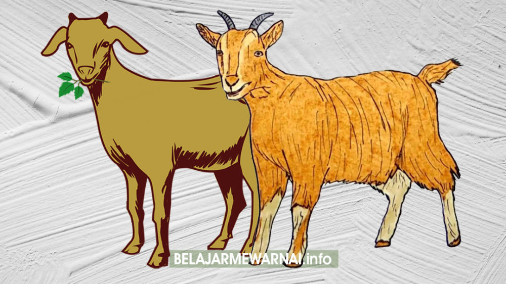 Detail Cara Menggambar Kambing Dengan Mudah Nomer 33