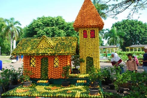 Detail Cara Menggambar Kebun Buah Nomer 32