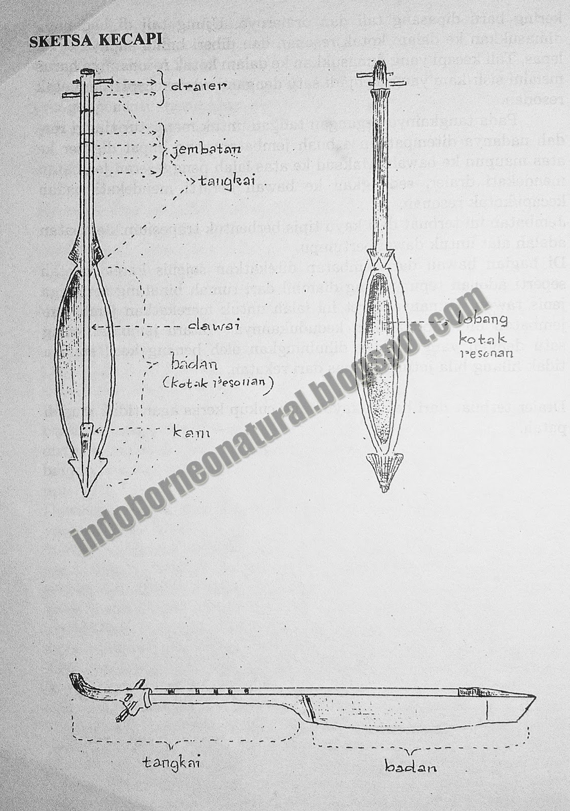 Detail Cara Menggambar Kecapi Nomer 5