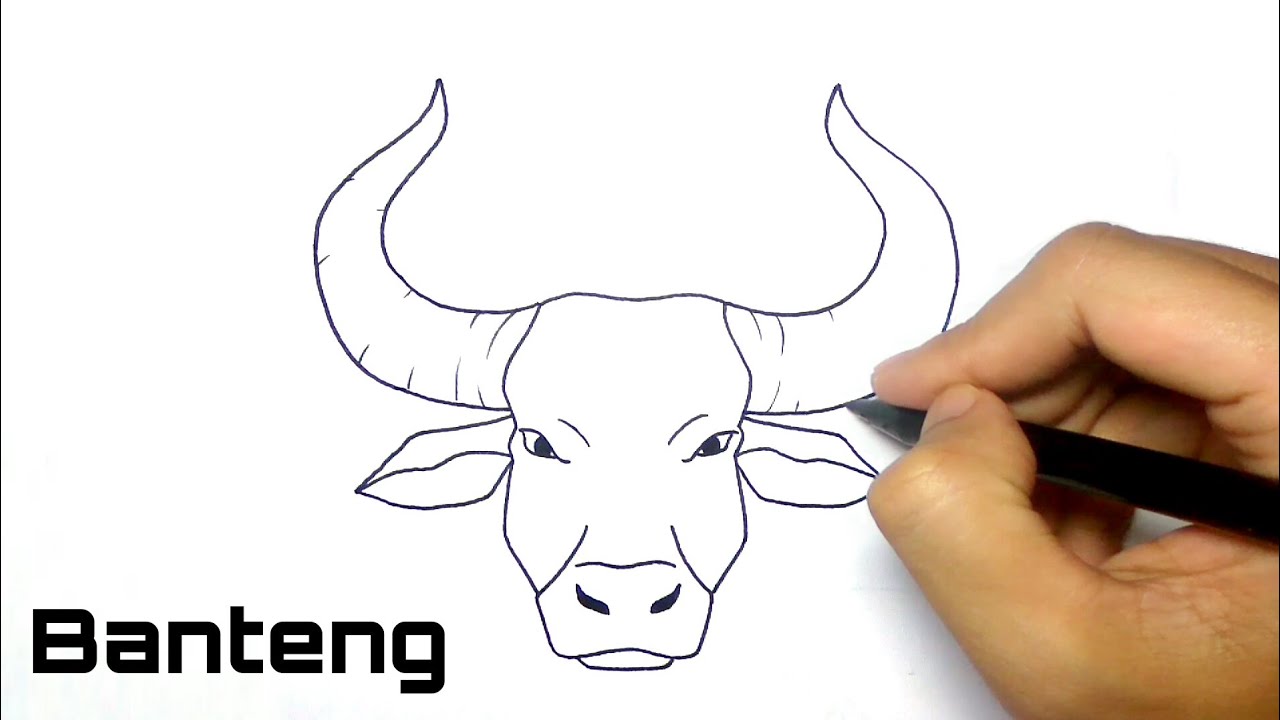 Cara Menggambar Kepala Banteng - KibrisPDR